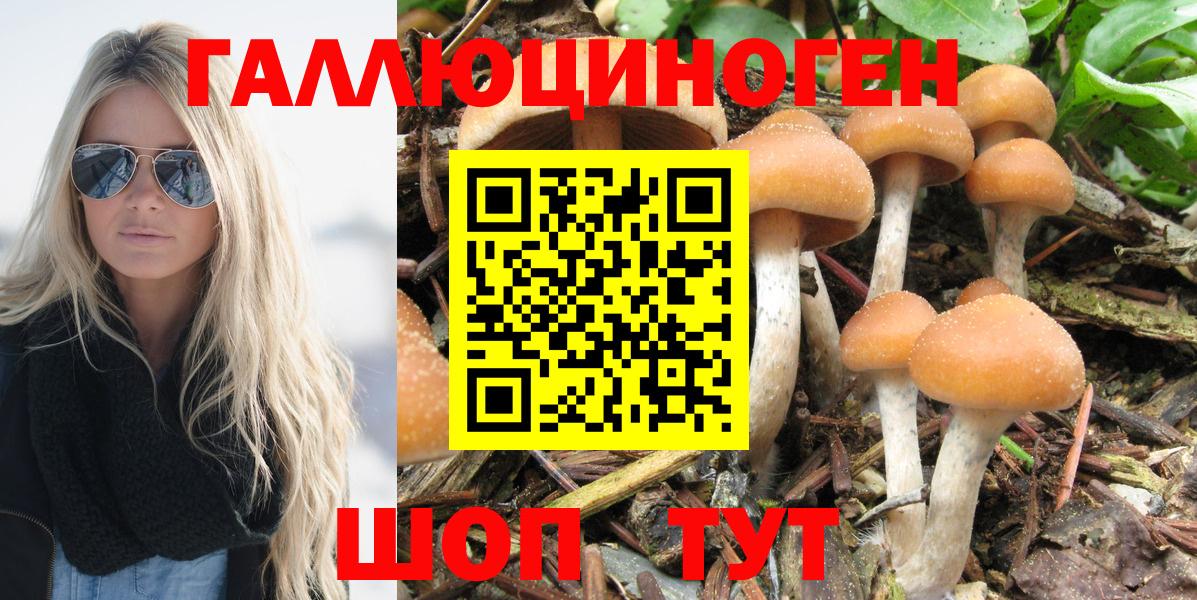 Галлюциногенные грибы GOLDEN TEACHER  Вход с VPN  Бор 