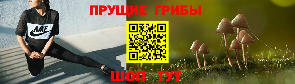 Галлюциногенные грибы мицелий Бор